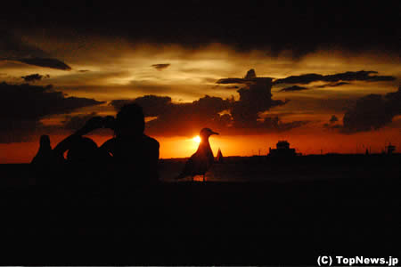 夕暮れのメルボルンその1＝F1オーストラリアGP