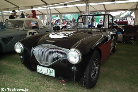 F1オーストラリアGPのヒストリックカー（Austin Healey 100/4 BN1）