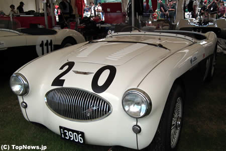 F1オーストラリアGPのヒストリックカー（Austin Healey 100S）