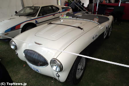 F1オーストラリアGPのヒストリックカー（Austin Healey 100S）