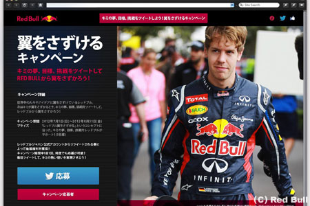 レッドブルが夢の実現をサポート！　『翼をさずけるキャンペーン』