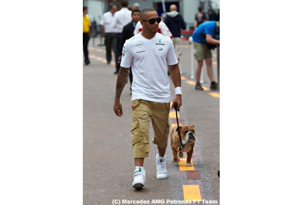ハミルトン、不調の原因は愛犬？