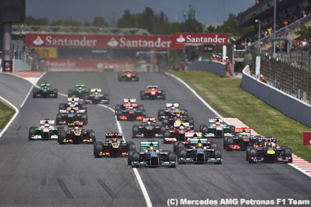 2014年は20レースにとどめるとF1のボス