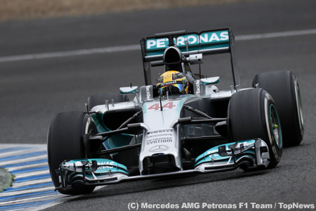 2014年F1ピレリタイヤ、ドライバーの評価は